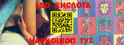 крисы Лесосибирск