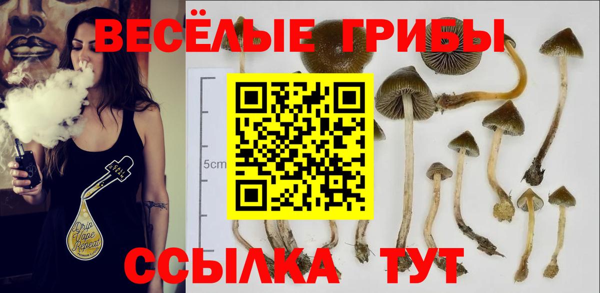 Галлюциногенные грибы мицелий  Вход с VPN  Ярославль 