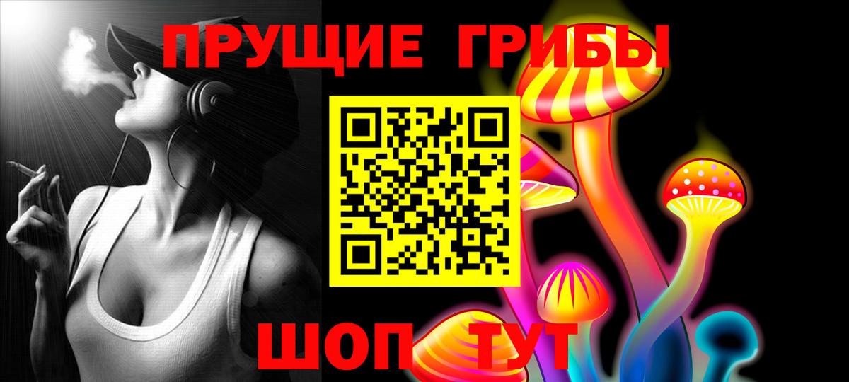 Псилоцибиновые грибы мицелий Ярославль